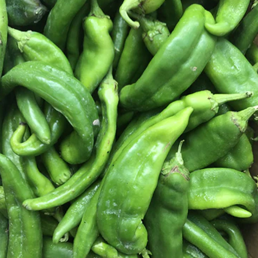Freezing Hatch Green Chiles Barque Gifts