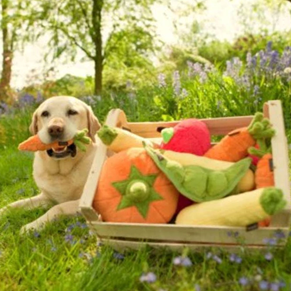 Veggie Plush Dog Toys Barque Gifts Lubbock, Texas