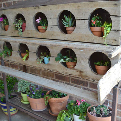 Re-purposed Nesting Box Turned Planter