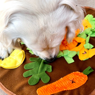 Thanksgiving Snuffle Mat