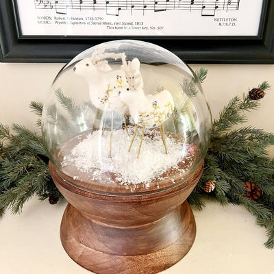 Globe Cloche