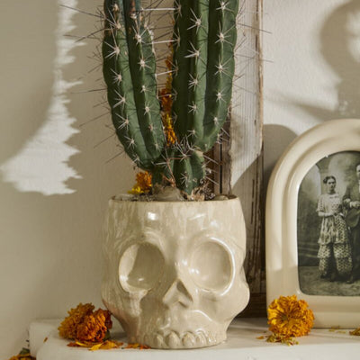 Haunting Skull Pot