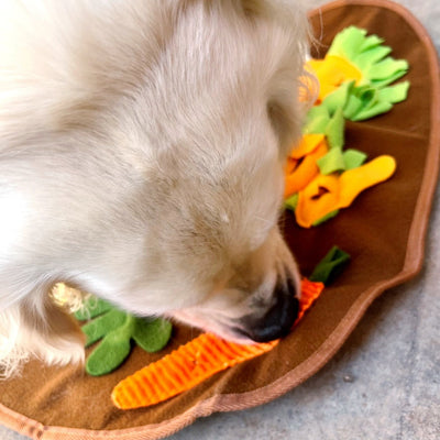 Thanksgiving Snuffle Mat