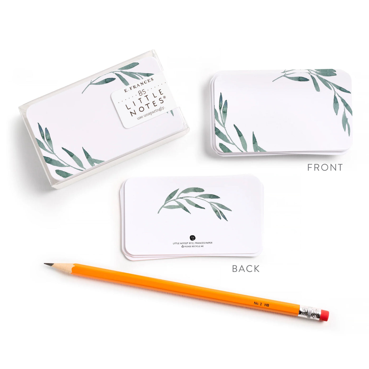 Olive Branch Little Notes