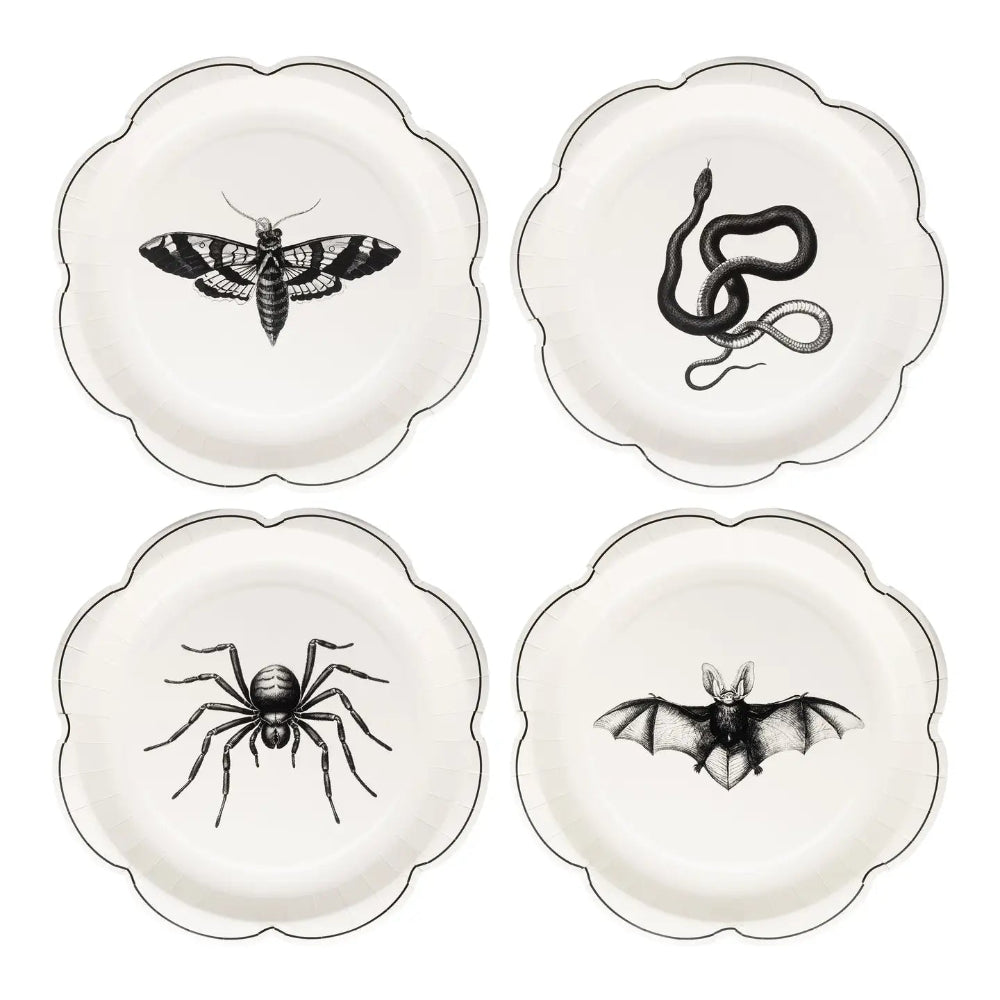 Apothecary Paper Plate