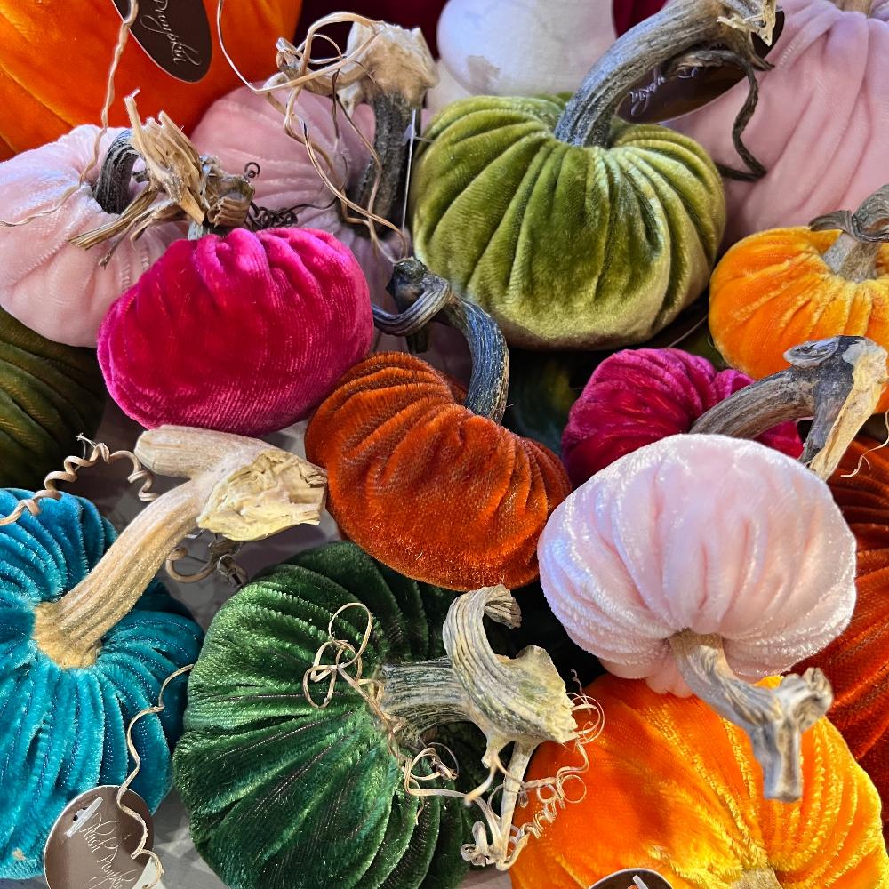 Velvet Pumpkins