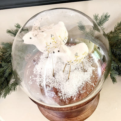 Globe Cloche
