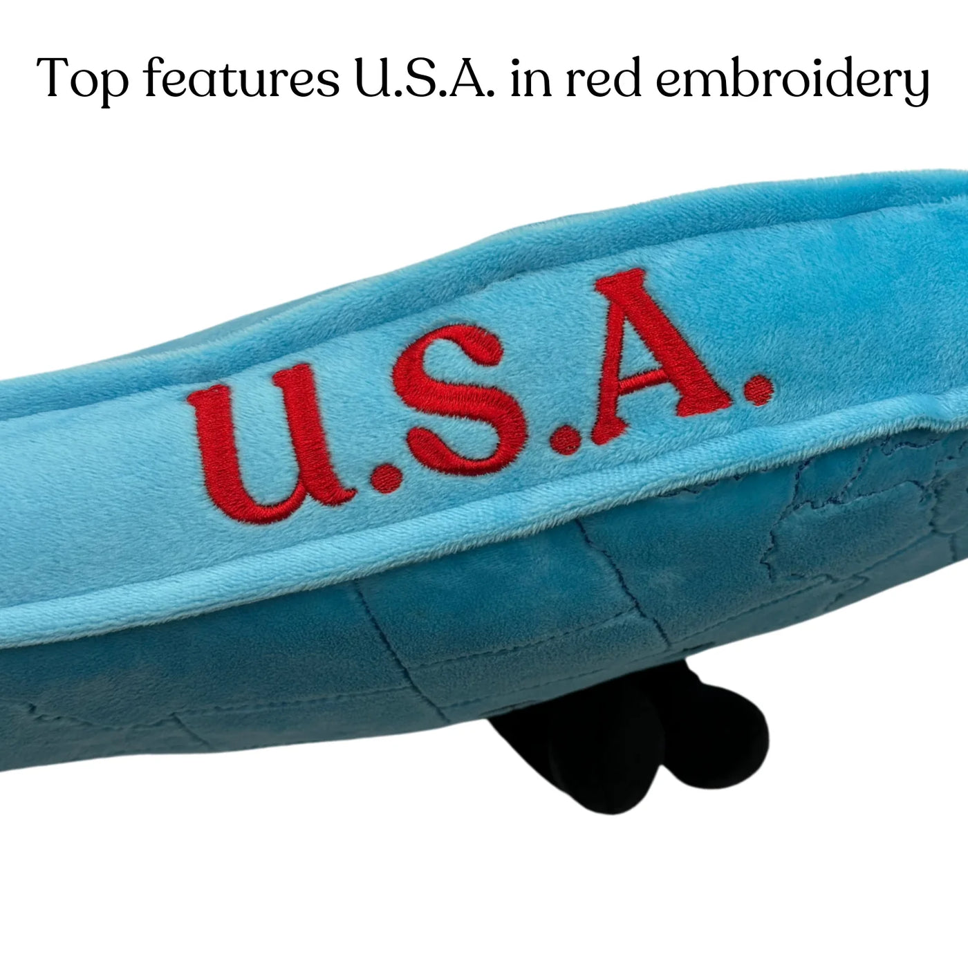 USA Map Pillow