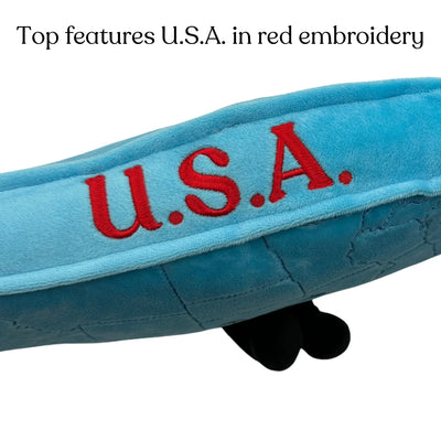 USA Map Pillow