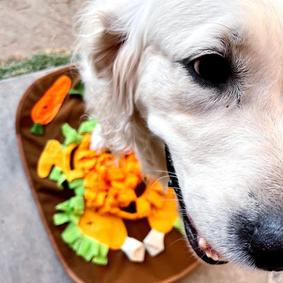 Thanksgiving Snuffle Mat