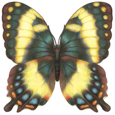Butterfly Paper Table Decorations