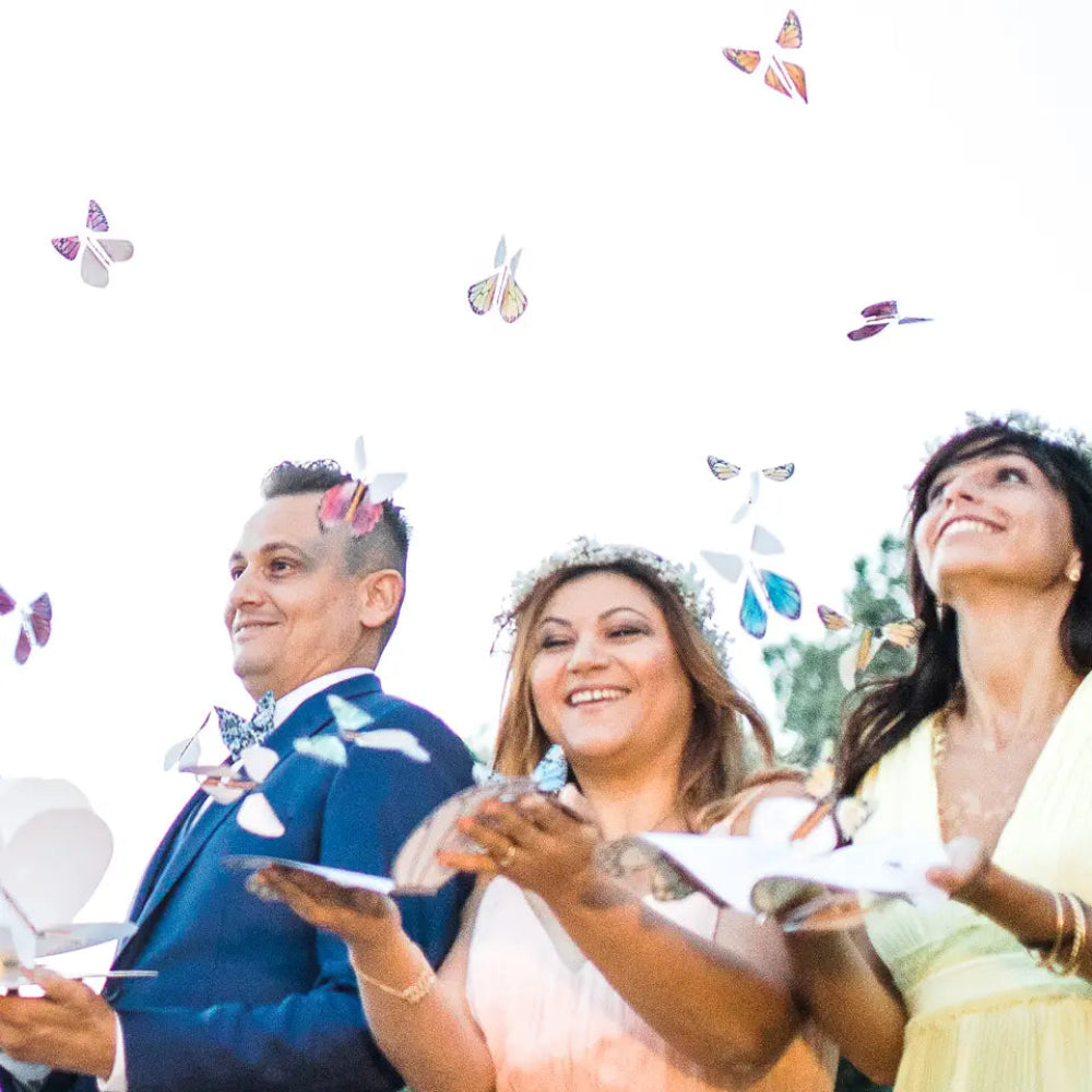 Magic Flying Butterflies