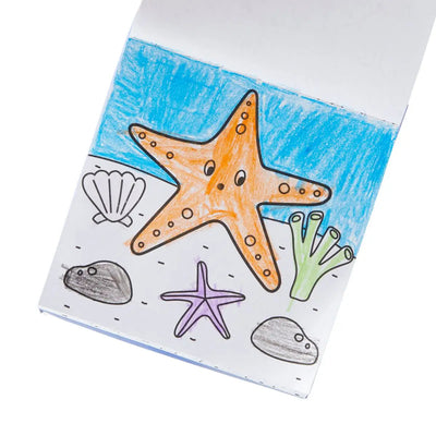 Carry Along Crayon & Coloring Book Kit