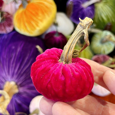 Velvet Pumpkins