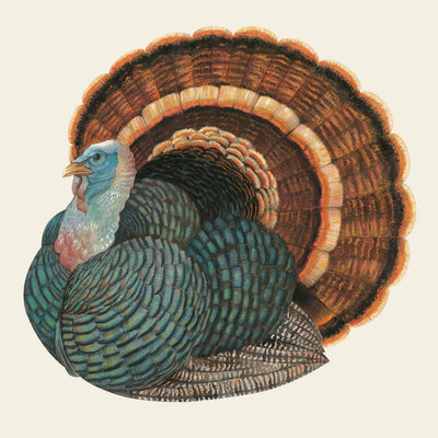 Heritage Turkey Paper Table Decorations-