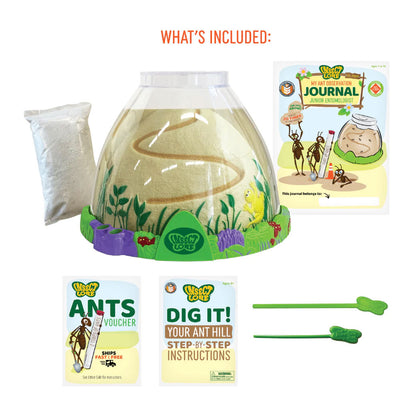 Ant Hill with Prepaid Voucher