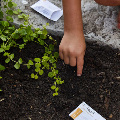Garden Activity Kit