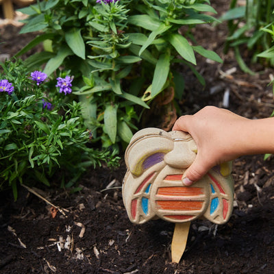Garden Activity Kit