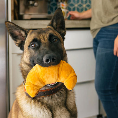 Pup's Pastry Dog Toy