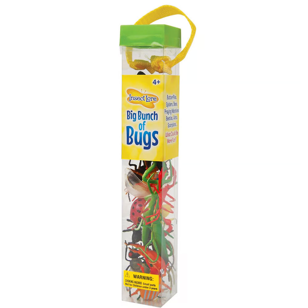 Big Bunch of Bugs