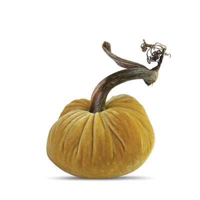 Velvet Pumpkins