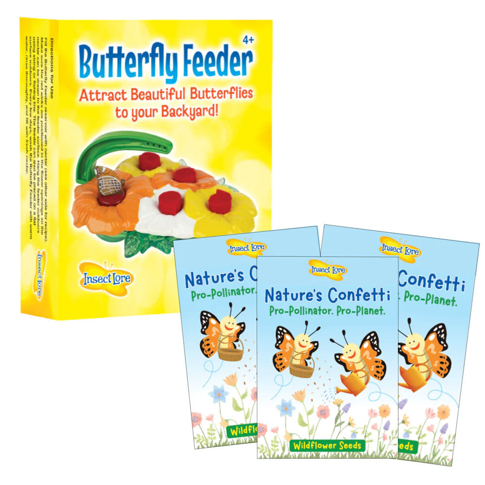 Butterfly Feeder