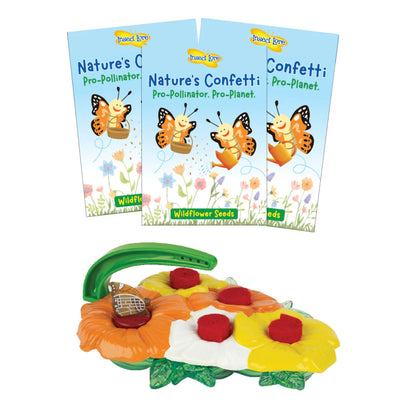Butterfly Feeder