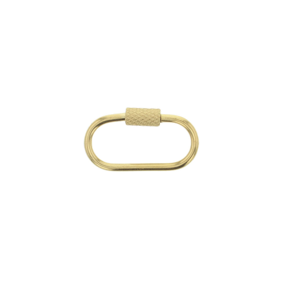 Large Carabiner Clasp