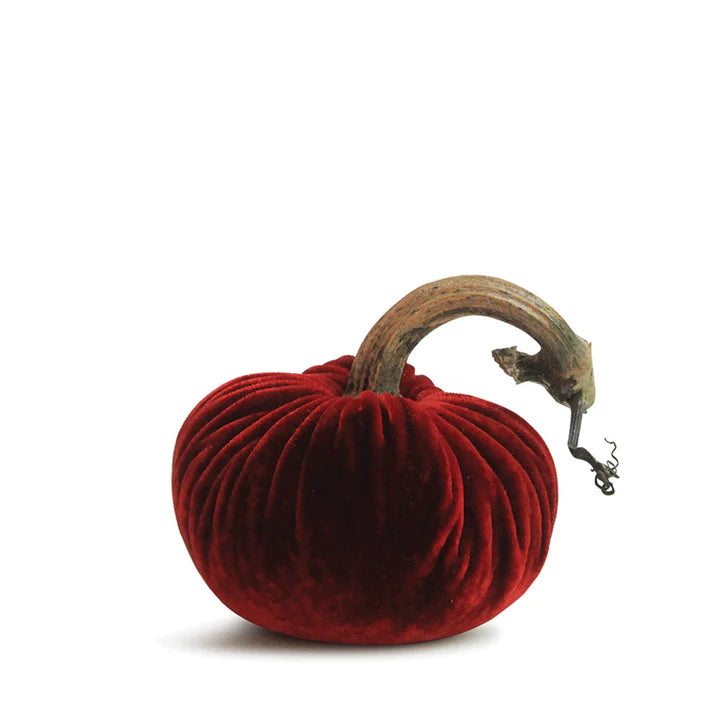 Velvet Pumpkins