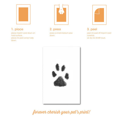 Clean-Touch Paw Print Kit (Black Ink)