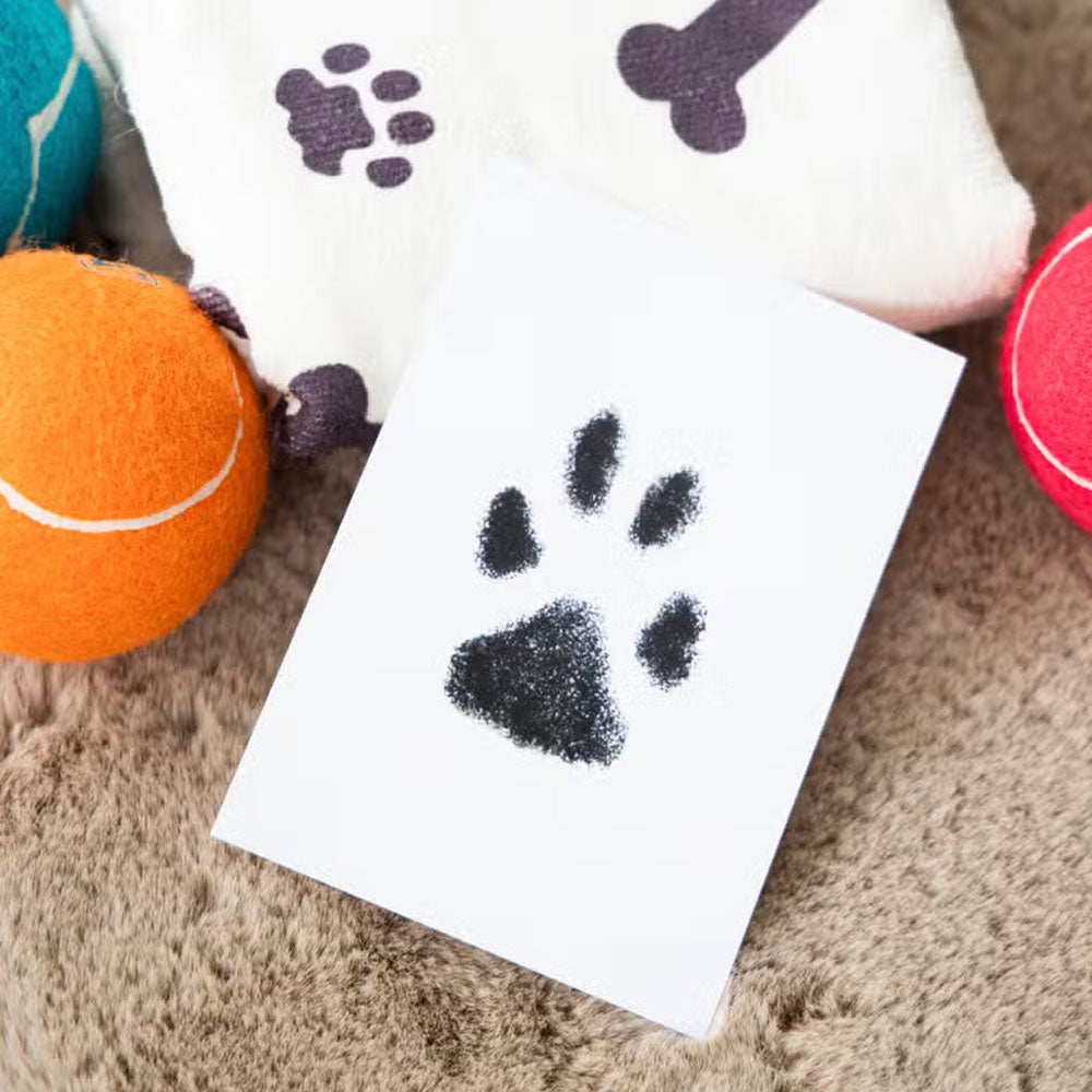 Clean-Touch Paw Print Kit (Black Ink)