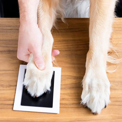 Clean-Touch Paw Print Kit (Black Ink)