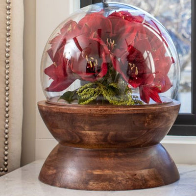 Globe Cloche