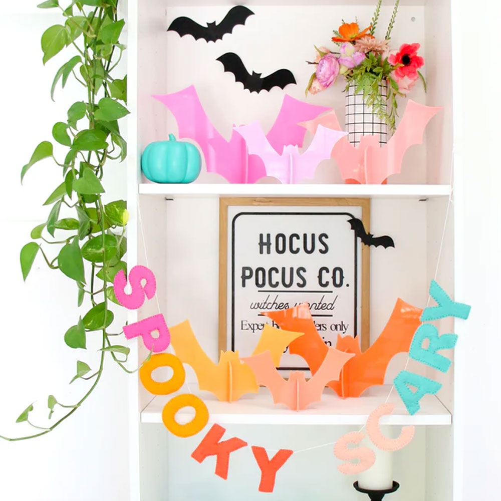 Colorful Acrylic Bats