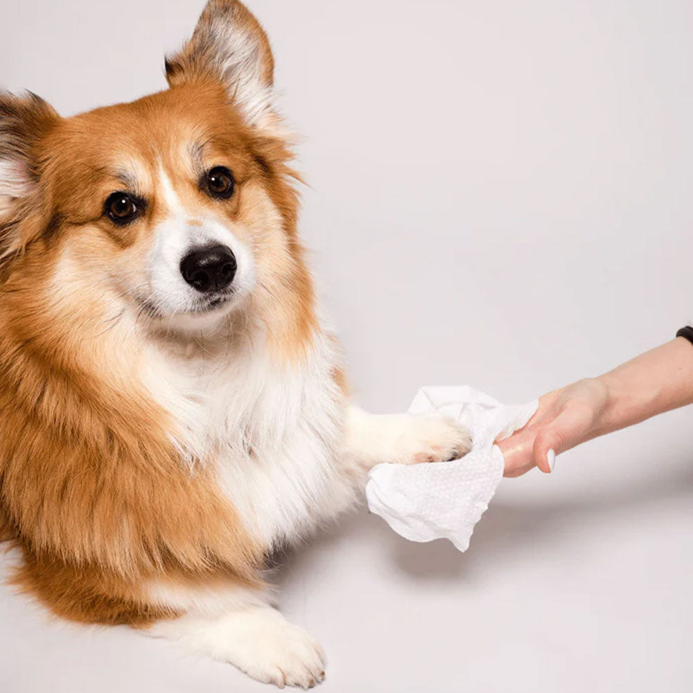 Grooming Wipes