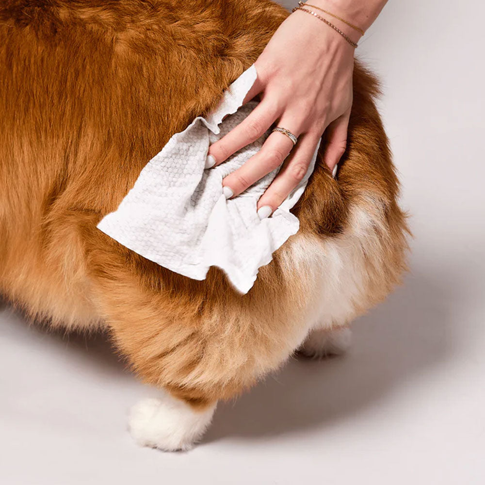 Grooming Wipes