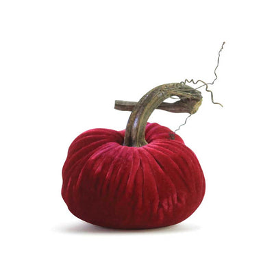 Velvet Pumpkins