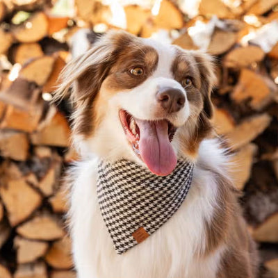 Houndstooth Flannel Dog Bandana