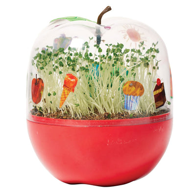 Very Hungry Caterpillar Ready to Grow Garden