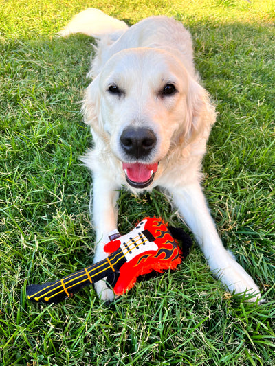 90's Electric Guitar Dog Toy