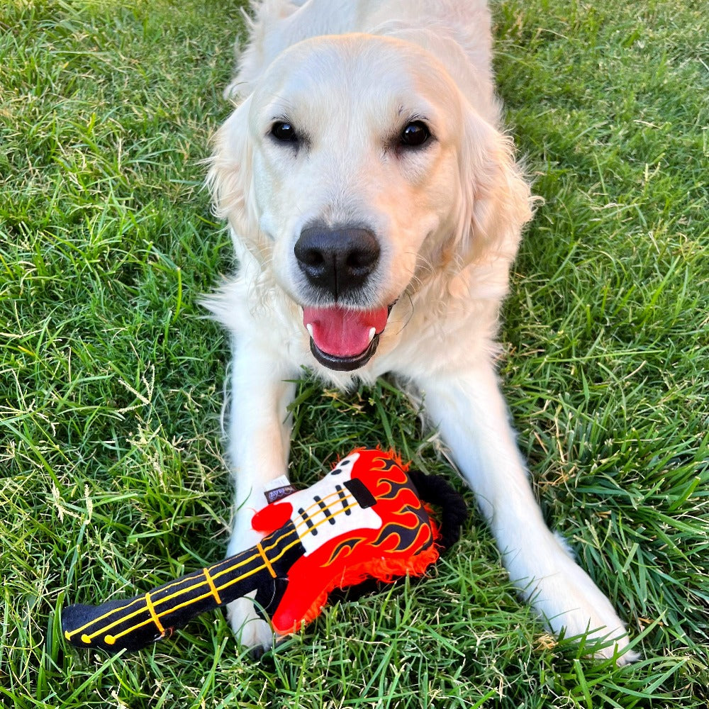 90's Electric Guitar Dog Toy