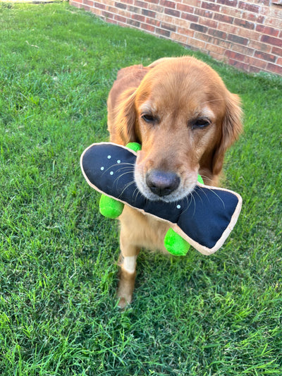 90's Skateboard Dog Toy