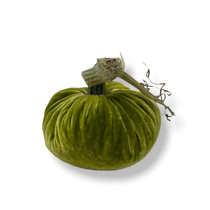 Velvet Pumpkins