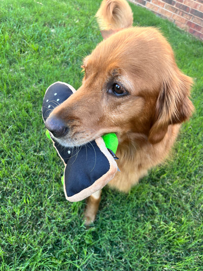 90's Skateboard Dog Toy