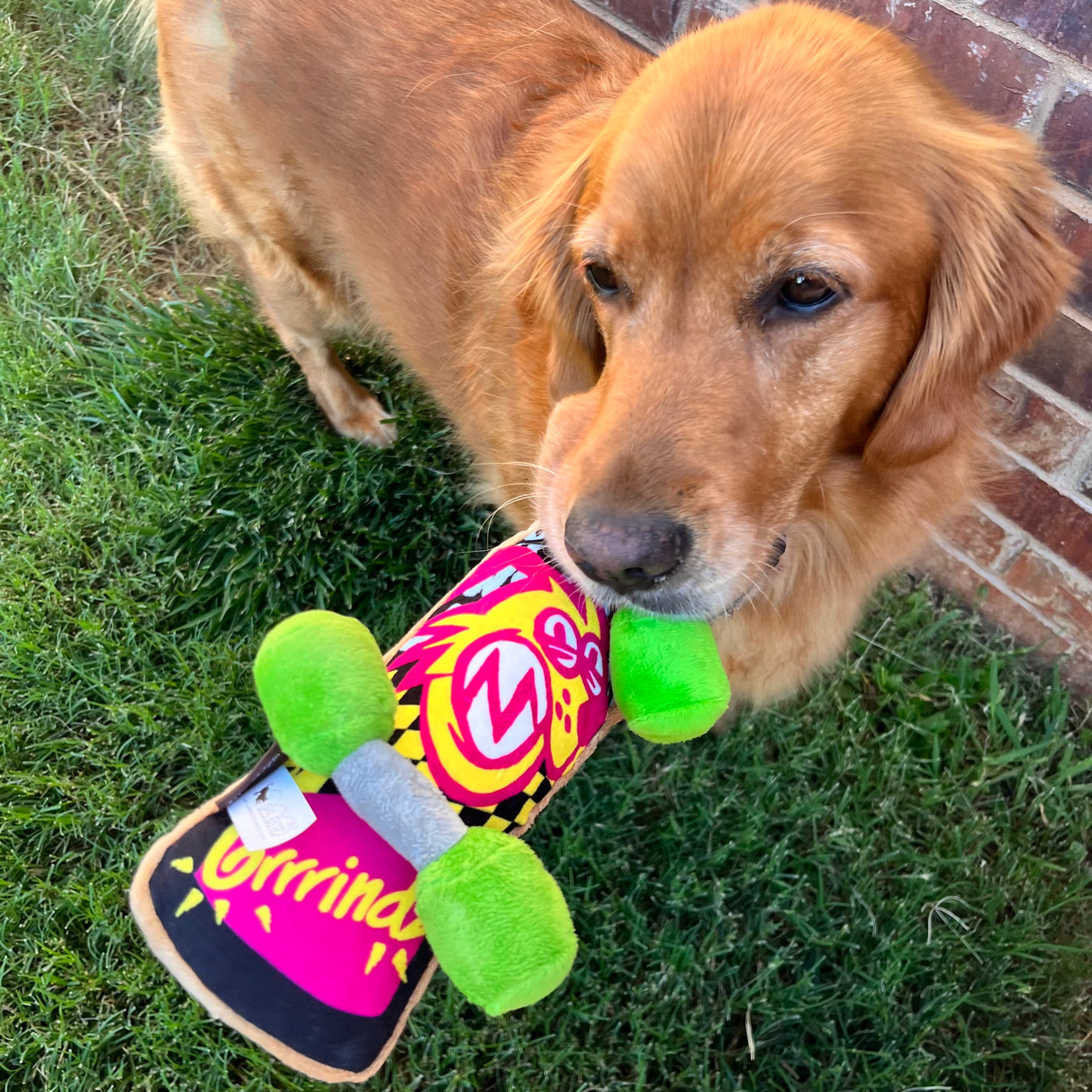 90's Skateboard Dog Toy