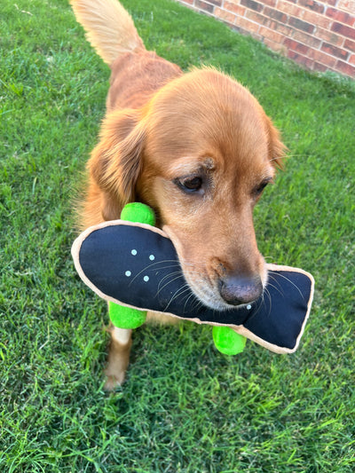 90's Skateboard Dog Toy