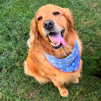 Liberty Dog Bandana
