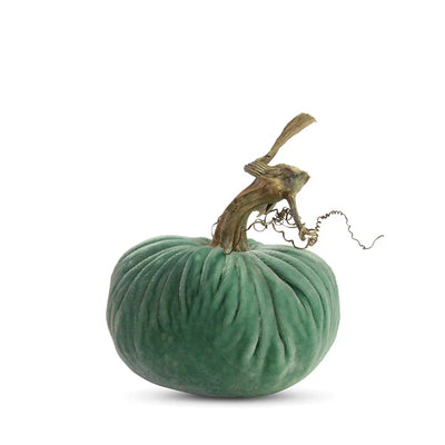 Velvet Pumpkins