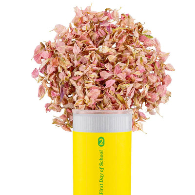 First Day of School Confetti Push Popper