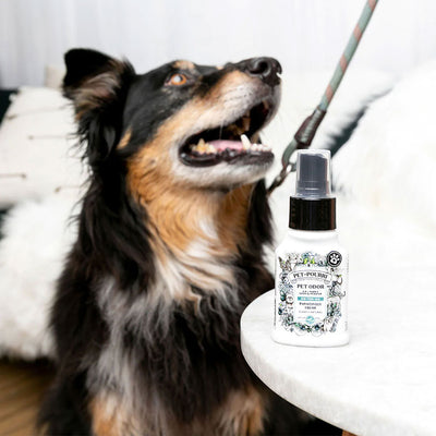 Pet-Pourri